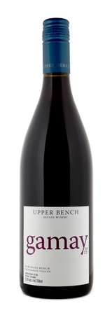 Gamay Noir 2022