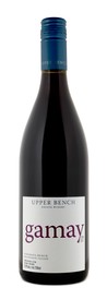 Gamay Noir 2022